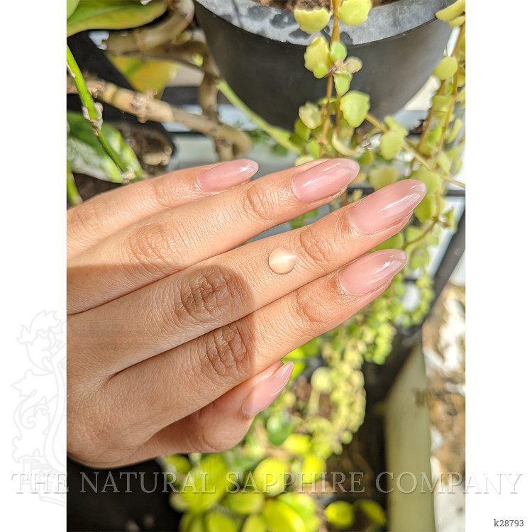 1.08 Ct. White Cabochon Moonstone from Ceylon (Sri Lanka)