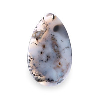 29.34 Ct. Multi Color Cabochon Agate from Madagascar Video