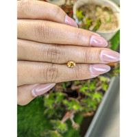 1.09 Ct. Brownish Yellow Zircon from Ceylon (Sri Lanka) Life Style