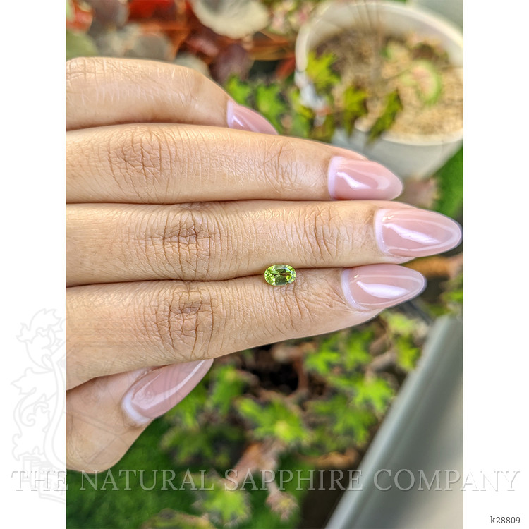 0.54 Ct. Yellowish Green Peridot from Pakistan