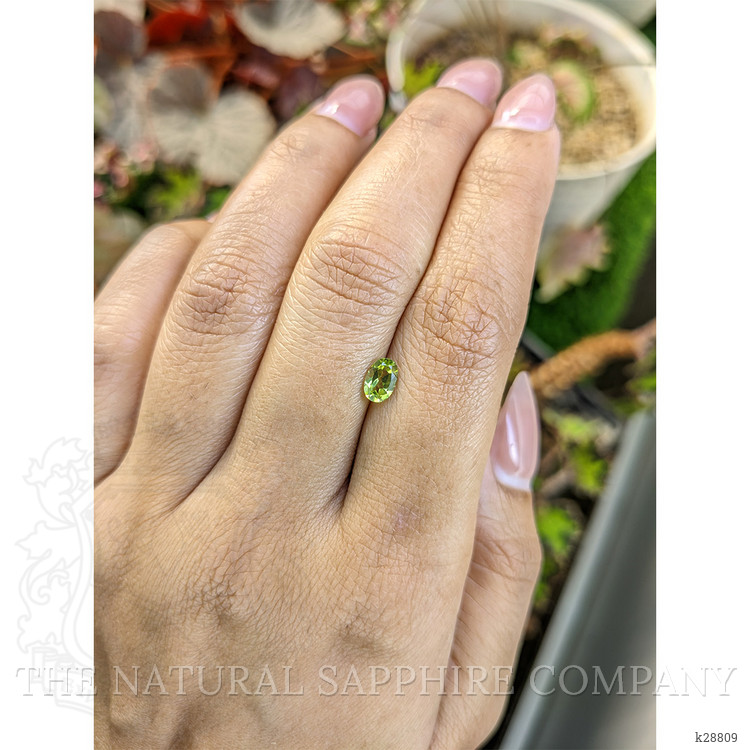 0.54 Ct. Yellowish Green Peridot from Pakistan