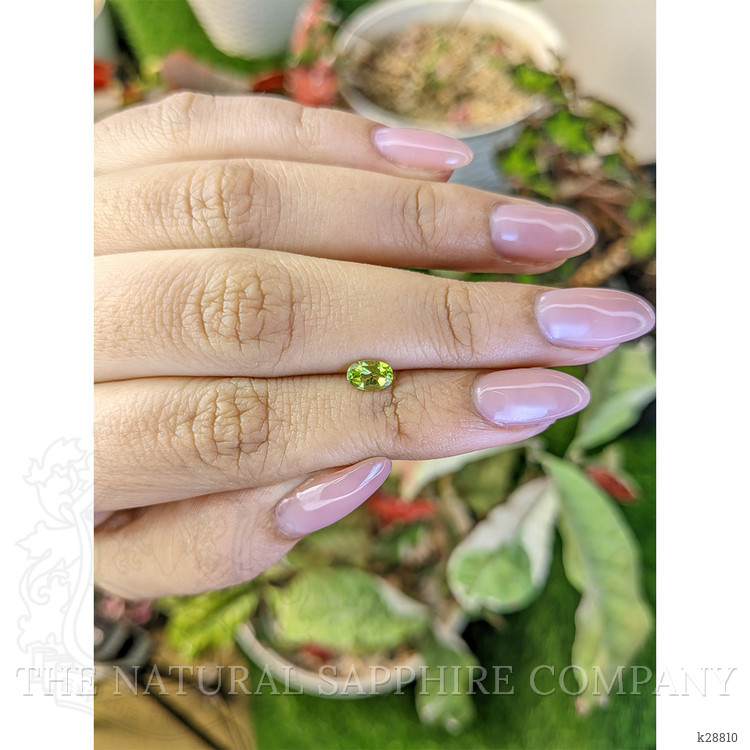 0.47 Ct. Yellowish Green Peridot from Pakistan