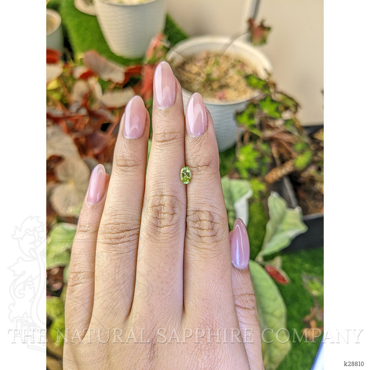 0.47 Ct. Yellowish Green Peridot from Pakistan