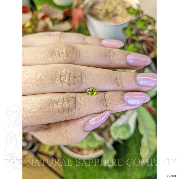 0.49 Ct. Yellowish Green Peridot from Pakistan