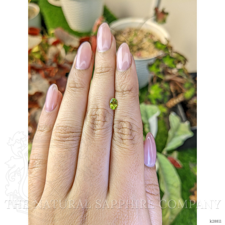 0.49 Ct. Yellowish Green Peridot from Pakistan