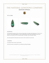 2.82 Ct. Green Tourmaline from Brazil Appraisal