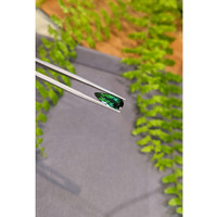 2.82 Ct. Green Tourmaline from Brazil Life Style
