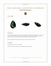 3.96 Ct. Green Tourmaline from Brazil Appraisal