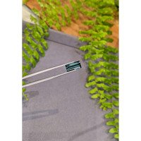 4.36 Ct. Bluish Green Tourmaline from Brazil Life Style