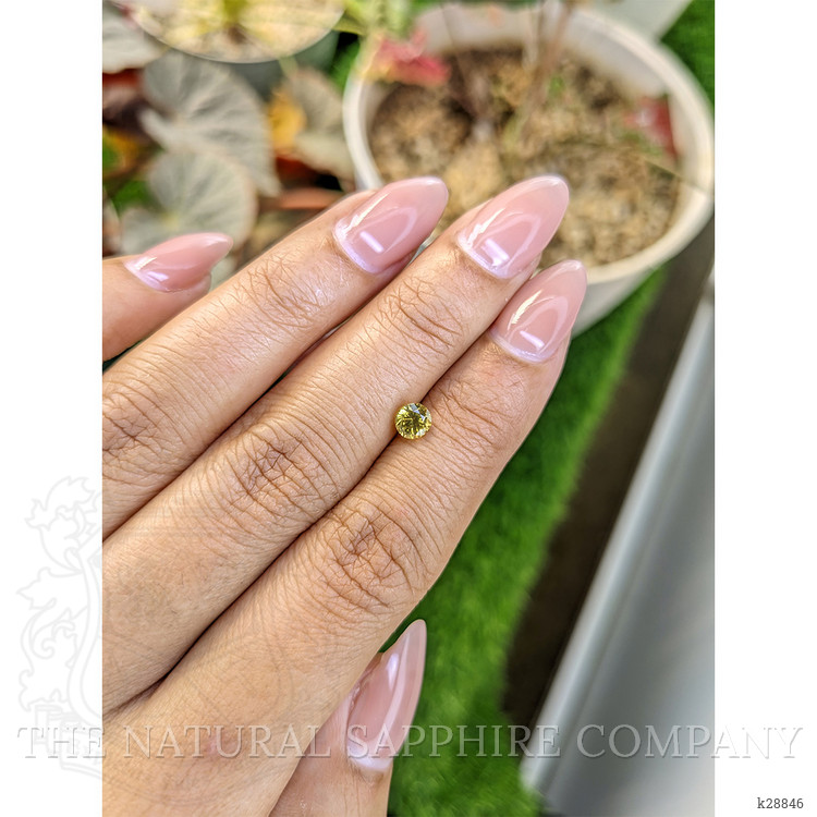 0.76 Ct. Yellow Zircon from Ceylon (Sri Lanka)