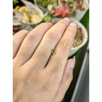 0.76 Ct. Yellow Zircon from Ceylon (Sri Lanka) Life Style