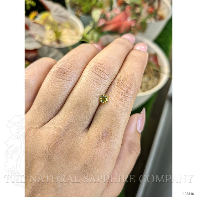 0.76 Ct. Yellow Zircon from Ceylon (Sri Lanka)