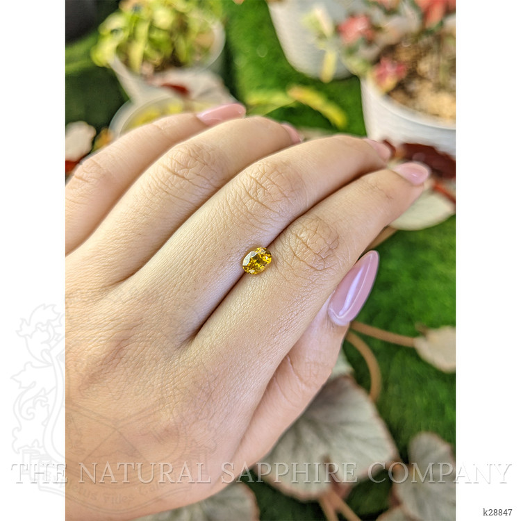 1.16 Ct. Yellow Zircon from Ceylon (Sri Lanka)