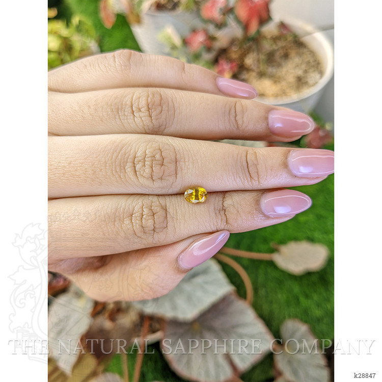 1.16 Ct. Yellow Zircon from Ceylon (Sri Lanka)