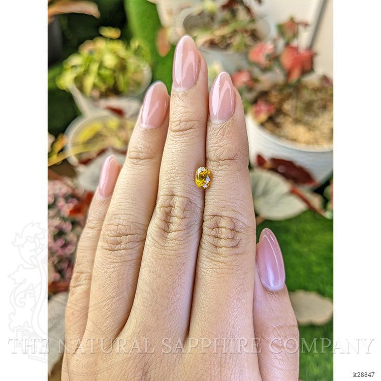 1.16 Ct. Yellow Zircon from Ceylon (Sri Lanka)