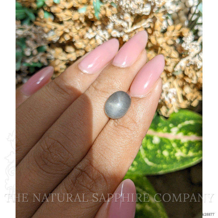 3.55 Ct. Grey Cabochon Moonstone from Ceylon (Sri Lanka)