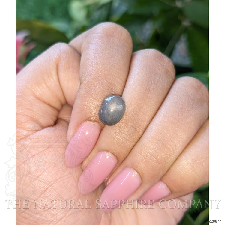 3.55 Ct. Grey Cabochon Moonstone from Ceylon (Sri Lanka)