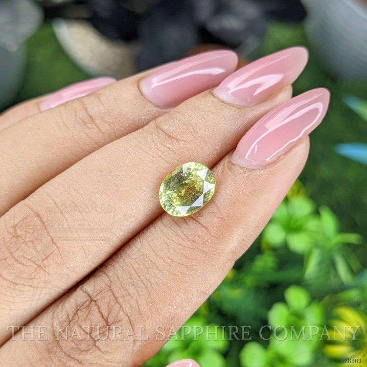 3.08 Ct. Yellowish Green Chrysoberyl from Tanzania