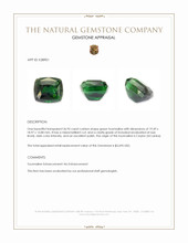 36.95 Ct. Green Tourmaline from Ceylon (Sri Lanka) Appraisal