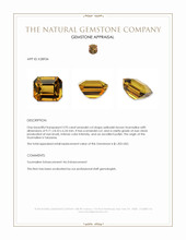 3.93 Ct. Yellowish Brown Tourmaline from Tanzania Appraisal