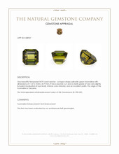 8.92 Ct. Yellowish Green Tourmaline from Tanzania Appraisal