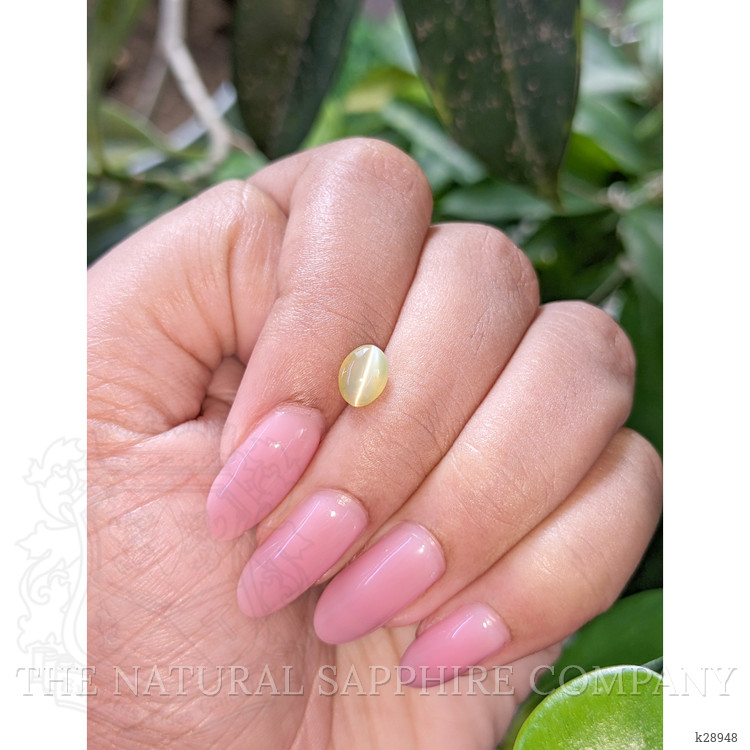 1.37 Ct. Greenish Yellow Cabochon Chrysoberyl from Tanzania