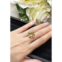 11.85 Ct. Citrine from Madagascar Life Style