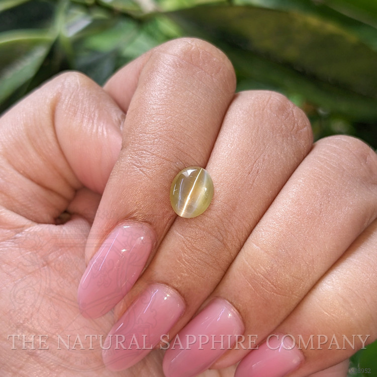 1.76 Ct. Greenish Yellow Cabochon Chrysoberyl from Tanzania