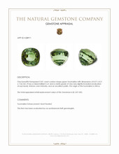 3.81 Ct. Green Tourmaline from Africa Appraisal