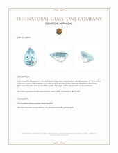 1.24 Ct. Blue Aquamarine from Mozambique Appraisal