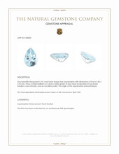 1.07 Ct. Blue Aquamarine from Mozambique Appraisal