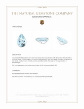 1.07 Ct. Blue Aquamarine from Mozambique Appraisal