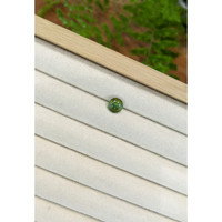 1.80 Ct. Green Tourmaline from Brazil Life Style