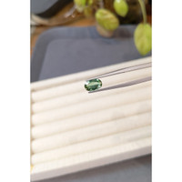1.22 Ct. Green Tourmaline from Brazil Life Style