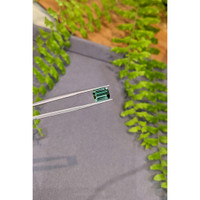 3.96 Ct. Bluish Green Tourmaline from Brazil Life Style