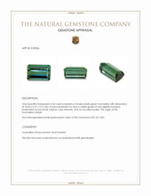 3.52 Ct. Bluish Green Tourmaline from Brazil Appraisal