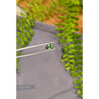1.79 Ct. Green Tourmaline from Brazil Life Style