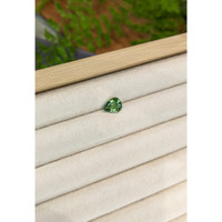 1.79 Ct. Green Tourmaline from Brazil Life Style