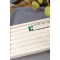 1.44 Ct. Green Tourmaline from Brazil Life Style