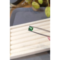 1.16 Ct. Green Tourmaline from Brazil Life Style