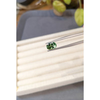 1.73 Ct. Green Tourmaline from Brazil Life Style