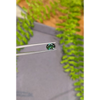 1.16 Ct. Green Tourmaline from Brazil Life Style