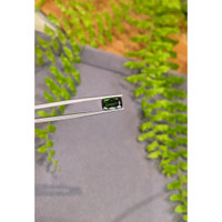2.58 Ct. Green Tourmaline from Brazil Life Style