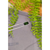 2.25 Ct. Green Tourmaline from Brazil Life Style
