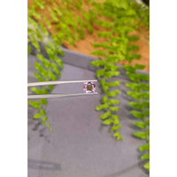 1.71 Ct. Pink Spinel from Burma (Myanmar) Life Style