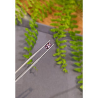 1.15 Ct. Pinkish Purple Spinel from Burma (Myanmar) Life Style