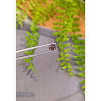1.79 Ct. Pinkish Purple Spinel from Tanzania Life Style