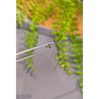 0.84 Ct. Purplish Pink Spinel from Tanzania Life Style