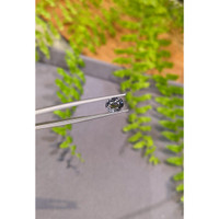 2.22 Ct. Grey Spinel from Burma (Myanmar) Life Style