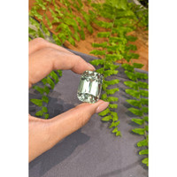 70.60 Ct. Mint Green Prasiolite from Madagascar Life Style